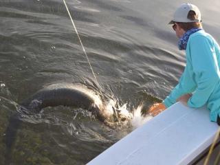 Big Tarpon Caught Fly Fishing In Fort Myers With What A Hawg Charters