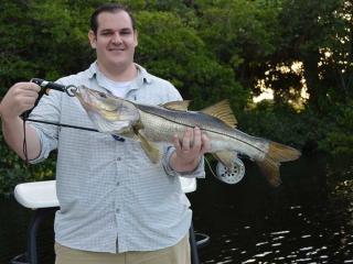 Nice Snook Caught Fly Fishing In Fort Myers