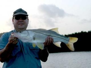 Nice Early Morning Snook Caught In The Fort Myers FL Area With What A Hawg Charters