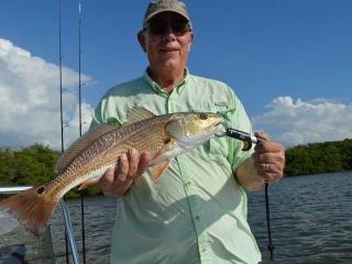 Average Estero Bay Redfish