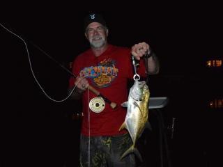 Night fishing For Jacks in Ft Myers