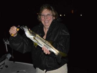 Night Fishing For Snook In Fort Myers