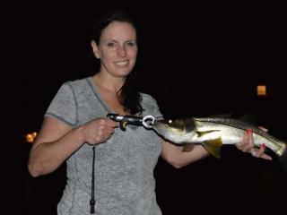 Night Fishing For Snook In Fort Myers area