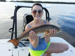 Early Fall Redfish From Estero Bay Fishing With What A Hawg Charters