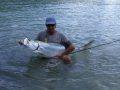 Fort Myers Tarpon Fishing 10K Islands Tarpon Fishing