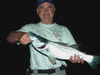 Night fishing charters for Snook in Fort Myers