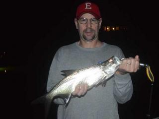 Firsat Tarpon Caught At Night In Fort Myers