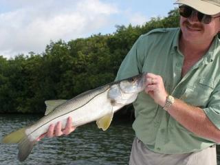 Nice Average Fort Myers Snook