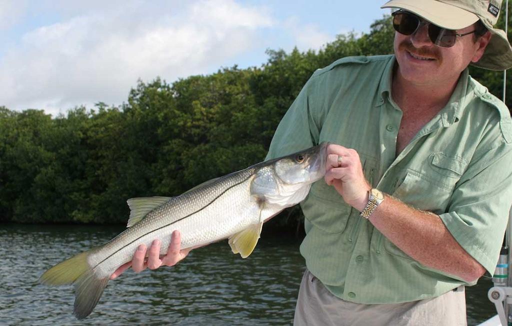 Nice Average Fort Myers Snook