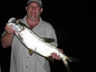 Tarpon Fishing At Night