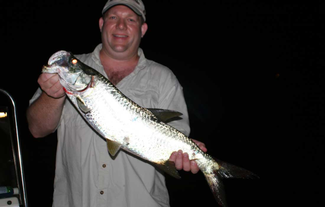 Tarpon Fishing At Night
