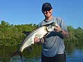 Fort Myers Fly Fishing For Tarpon Charters