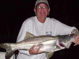 Big Snook Caught On A Night Fishing Charter With What A Hawg Charters